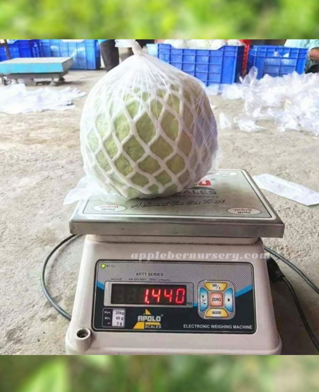 492